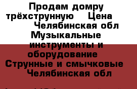 Продам домру трёхструнную. › Цена ­ 60 000 - Челябинская обл. Музыкальные инструменты и оборудование » Струнные и смычковые   . Челябинская обл.